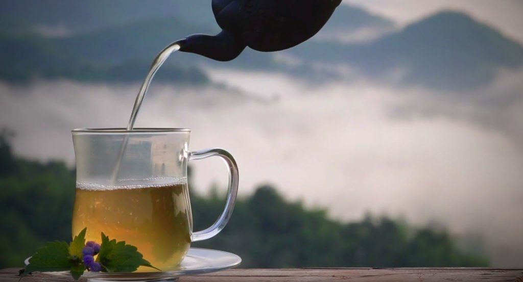 IVINI-TEA | HOME | Jiaogulan infusion; pouring into glass cup