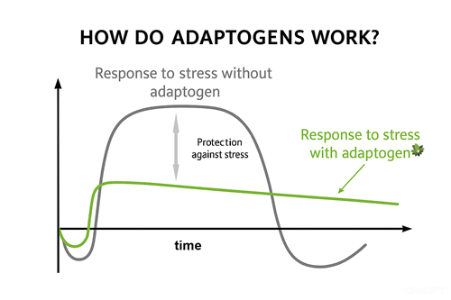 DIVINI-TEA | DISCOVER | Adaptogens graph