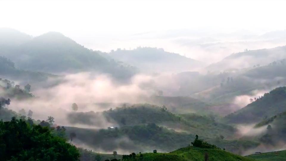 DIVINI-TEA | ABOUT US | Landscape misty mountains